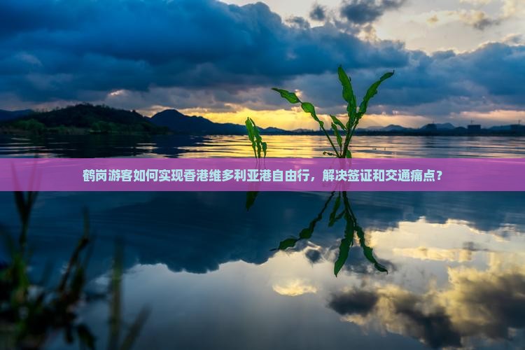 鹤岗游客如何实现香港维多利亚港自由行，解决签证和交通痛点？