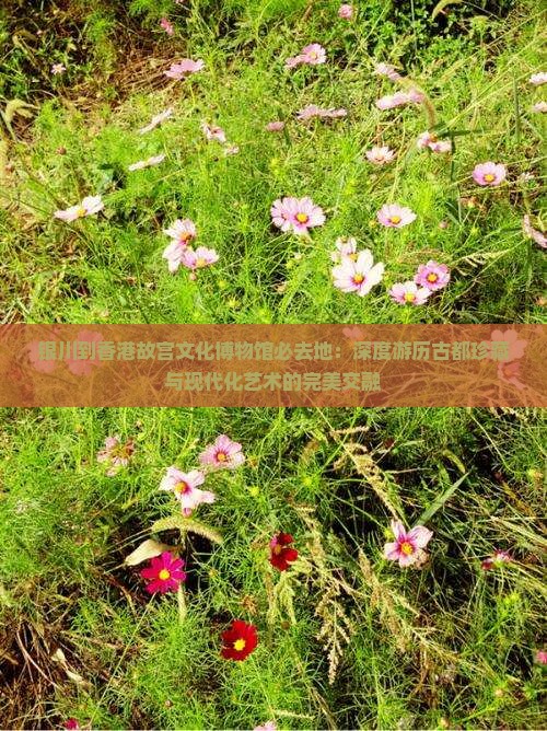 银川到香港故宫文化博物馆必去地：深度游历古都珍藏与现代化艺术的完美交融