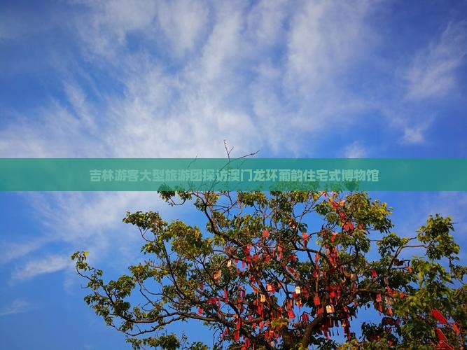 吉林游客大型旅游团探访澳门龙环葡韵住宅式博物馆