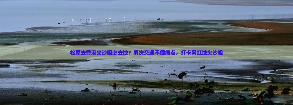 松原去香港尖沙咀必去地？解决交通不便痛点，打卡网红地尖沙咀