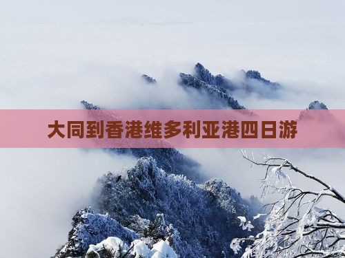大同到香港维多利亚港四日游
