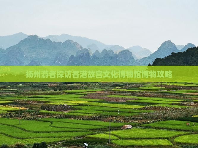 扬州游者探访香港故宫文化博物馆博物攻略