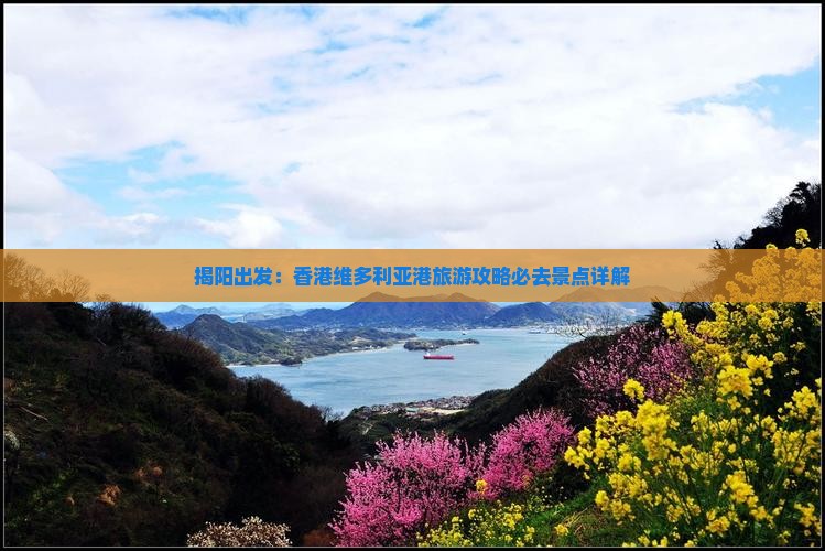 揭阳出发：香港维多利亚港旅游攻略必去景点详解