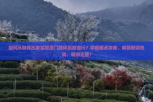 如何从蚌埠出发实现澳门路环岛自由行？掌握痛点攻略，解锁新词热词，畅游无阻！