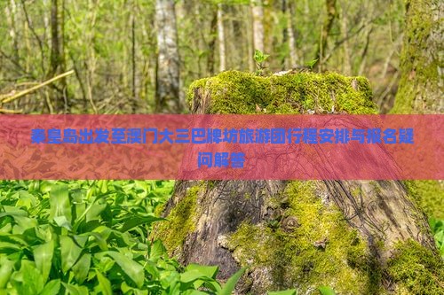 秦皇岛出发至澳门大三巴牌坊旅游团行程安排与报名疑问解答