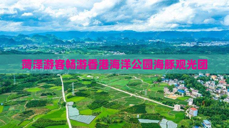 菏泽游客畅游香港海洋公园海豚观光团