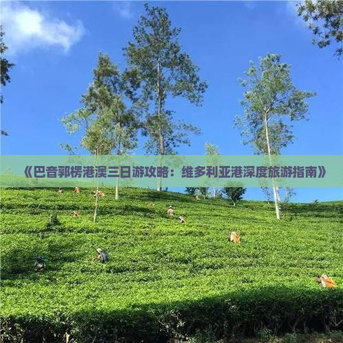 《巴音郭楞港澳三日游攻略：维多利亚港深度旅游指南》