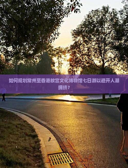 如何规划常州至香港故宫文化博物馆七日游以避开人潮拥挤？