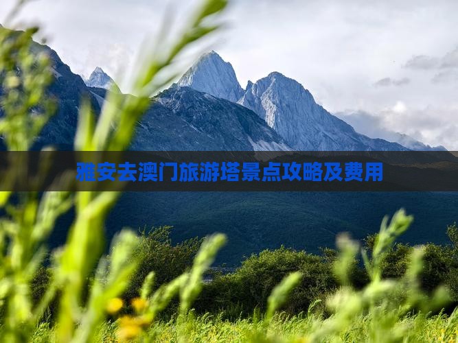 雅安去澳门旅游塔景点攻略及费用