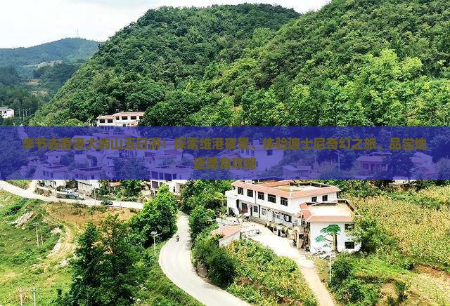 毕节去香港大屿山五日游：探索维港夜景、体验迪士尼奇幻之旅、品尝地道美食攻略