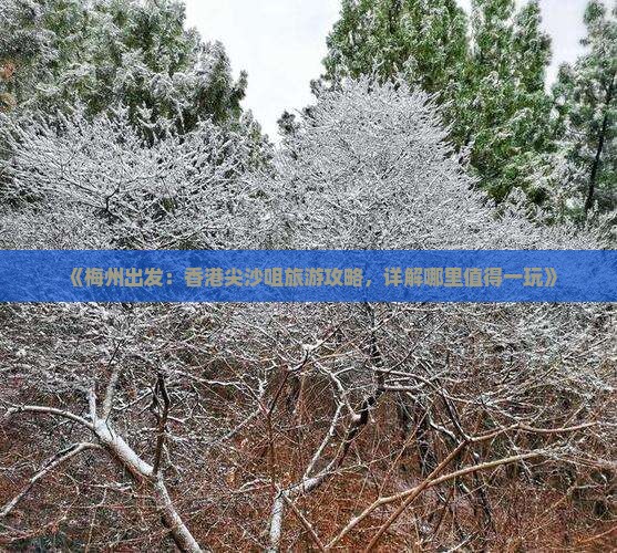《梅州出发：香港尖沙咀旅游攻略，详解哪里值得一玩》