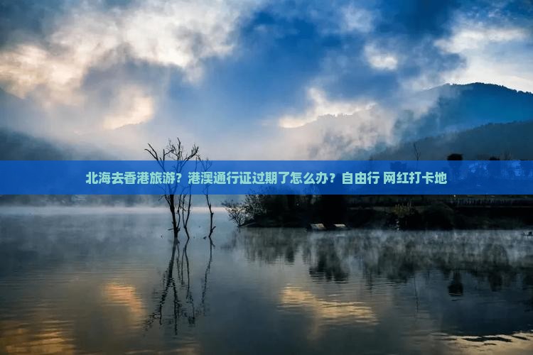 北海去香港旅游？港澳通行证过期了怎么办？自由行+网红打卡地