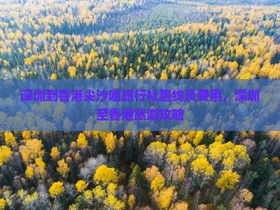 深圳到香港尖沙咀旅行社路线及费用，深圳至香港旅游攻略