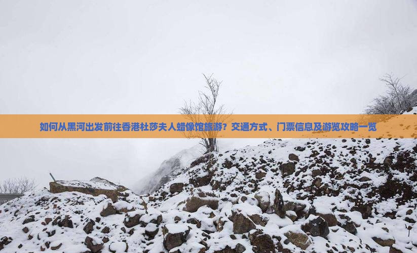 如何从黑河出发前往香港杜莎夫人蜡像馆旅游？交通方式、门票信息及游览攻略一览