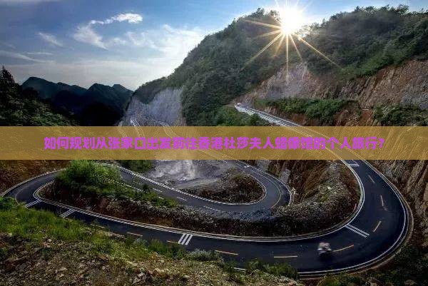 如何规划从张家口出发前往香港杜莎夫人蜡像馆的个人旅行？