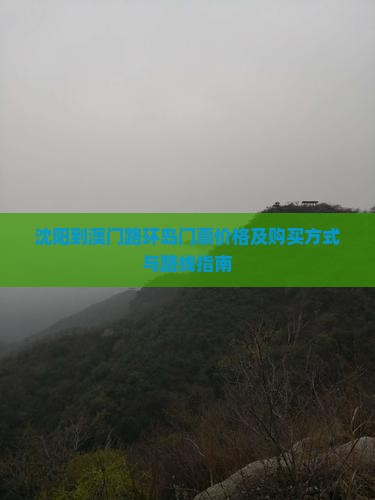 沈阳到澳门路环岛门票价格及购买方式与路线指南