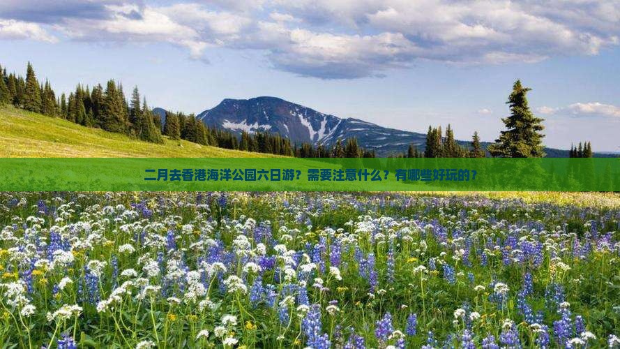 二月去香港海洋公园六日游？需要注意什么？有哪些好玩的？