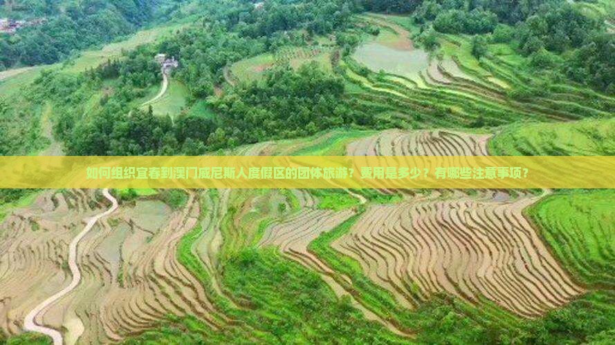 如何组织宜春到澳门威尼斯人度假区的团体旅游？费用是多少？有哪些注意事项？