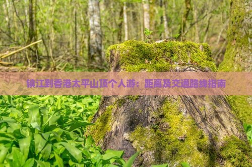 镇江到香港太平山顶个人游：距离及交通路线指南