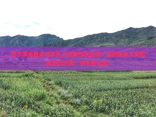 哈尔滨去香港杜莎夫人蜡像馆五日游？含购物点太多影响游玩时间？快来看这篇！