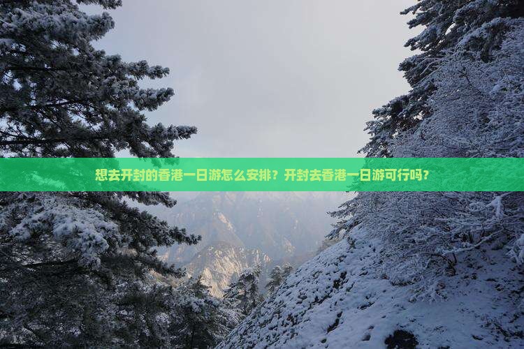 想去开封的香港一日游怎么安排？开封去香港一日游可行吗？