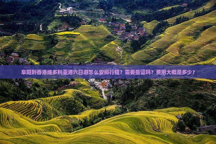 阜阳到香港维多利亚港六日游怎么安排行程？需要签证吗？费用大概是多少？