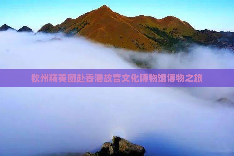 钦州精英团赴香港故宫文化博物馆博物之旅