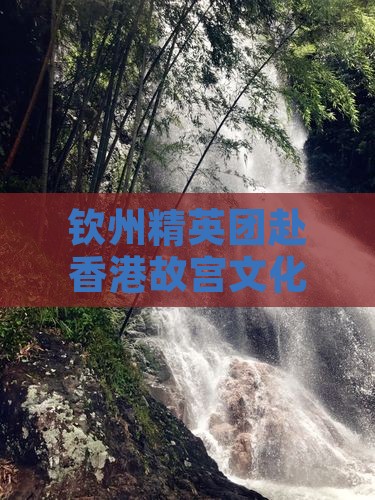 钦州精英团赴香港故宫文化博物馆博物之旅