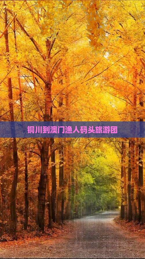 铜川到澳门渔人码头旅游团