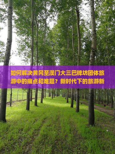 如何解决黄冈至澳门大三巴牌坊团体旅游中的痛点和难题？新时代下的旅游新体验有哪些？