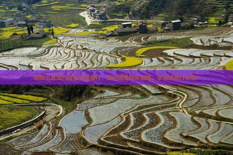 铜陵出发澳门官也街自由行，如何避免排队烦恼，享施快旅行体验？