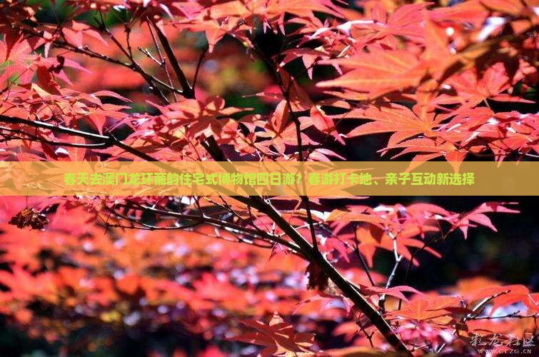 春天去澳门龙环葡韵住宅式博物馆四日游？春游打卡地、亲子互动新选择