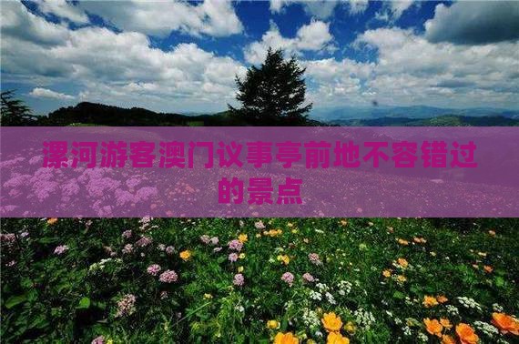 漯河游客澳门议事亭前地不容错过的景点
