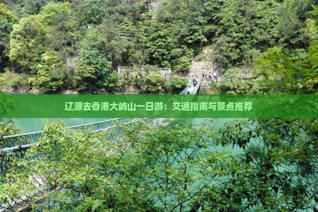 辽源去香港大屿山一日游：交通指南与景点推荐