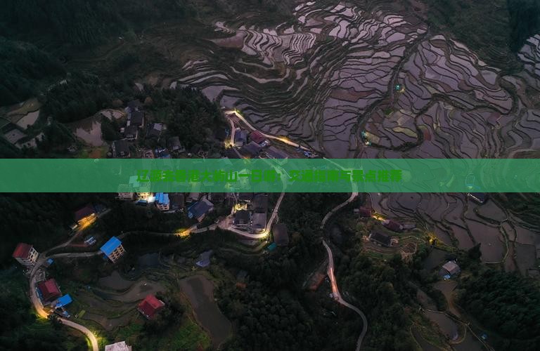 辽源去香港大屿山一日游：交通指南与景点推荐