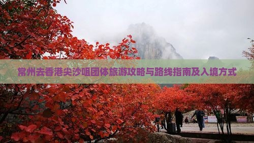 常州去香港尖沙咀团体旅游攻略与路线指南及入境方式