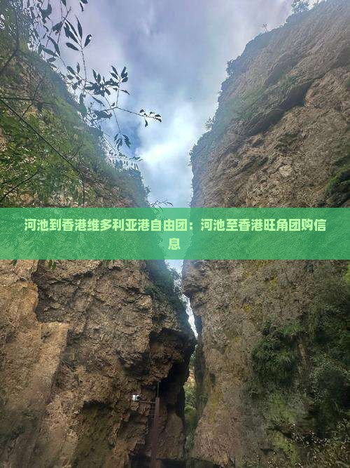 河池到香港维多利亚港自由团：河池至香港旺角团购信息