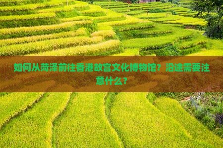 如何从菏泽前往香港故宫文化博物馆？沿途需要注意什么？