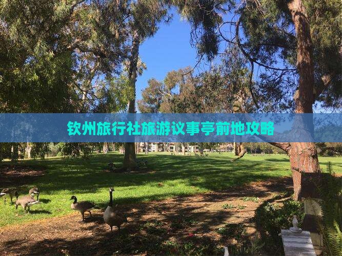 钦州旅行社旅游议事亭前地攻略