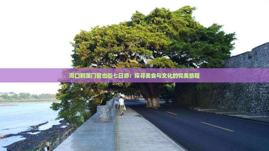 周口到澳门官也街七日游：探寻美食与文化的完美旅程