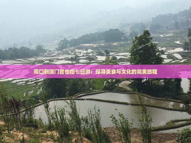 周口到澳门官也街七日游：探寻美食与文化的完美旅程