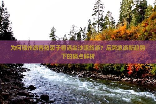 为何鄂州游客热衷于香港尖沙咀旅游？后跨境游新趋势下的痛点解析
