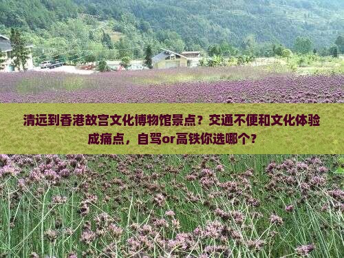 清远到香港故宫文化博物馆景点？交通不便和文化体验成痛点，自驾or高铁你选哪个？