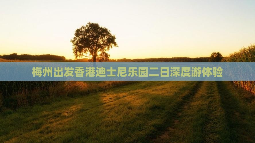 梅州出发香港迪士尼乐园二日深度游体验