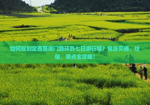 如何规划定西至澳门路环岛七日游行程？包含交通、住宿、景点全攻略！