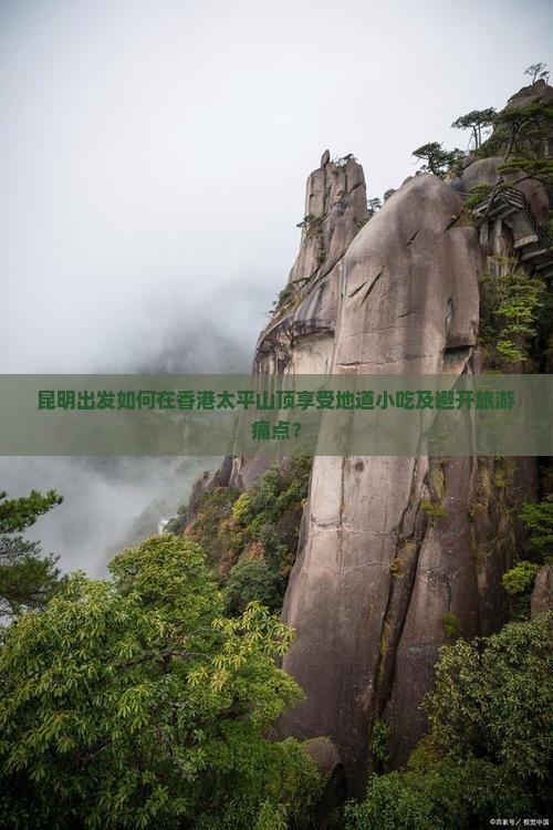 昆明出发如何在香港太平山顶享受地道小吃及避开旅游痛点？
