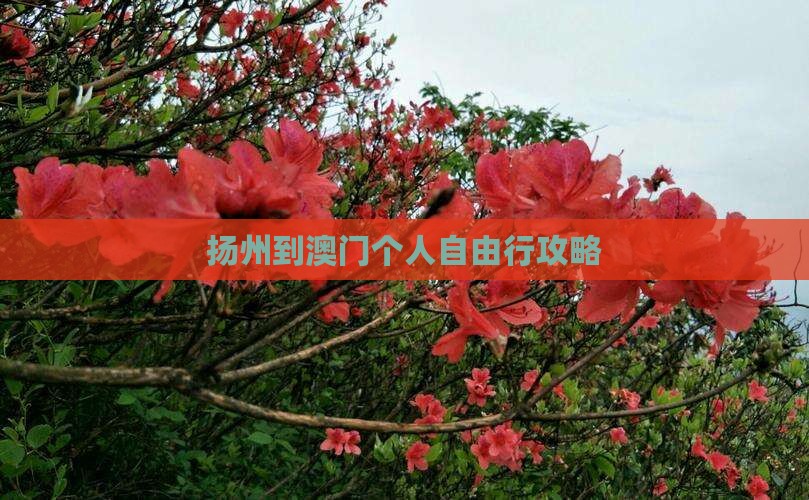 扬州到澳门个人自由行攻略