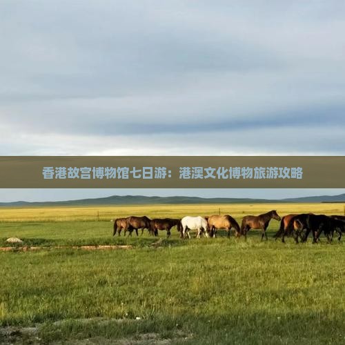 香港故宫博物馆七日游：港澳文化博物旅游攻略