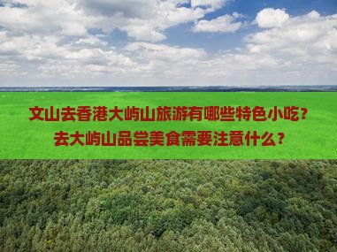 文山去香港大屿山旅游有哪些特色小吃？去大屿山品尝美食需要注意什么？