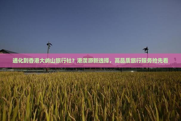 通化到香港大屿山旅行社？港澳游新选择，高品质旅行服务抢先看